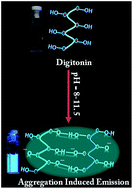 Graphical abstract: Hydrogen-bond assisted, aggregation-induced emission of digitonin