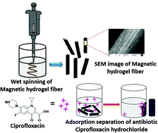 Graphical abstract: Magnetic alginate–Fe3O4 hydrogel fiber capable of ciprofloxacin hydrochloride adsorption/separation in aqueous solution