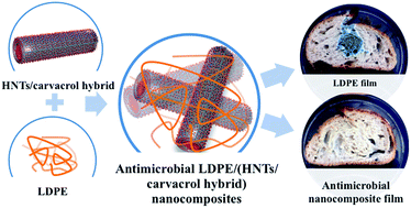 Graphical abstract: Novel LDPE/halloysite nanotube films with sustained carvacrol release for broad-spectrum antimicrobial activity