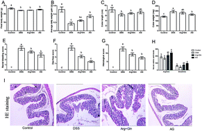 Graphical abstract: Arginyl-glutamine dipeptide attenuates experimental colitis by enhancing antioxidant function and inhibiting nuclear factor-kappaB