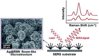 Graphical abstract: Hierarchical self-assembly of random mica nanosheet-stabilized silver nanoparticles into flower microstructures for highly sensitive SERS substrates