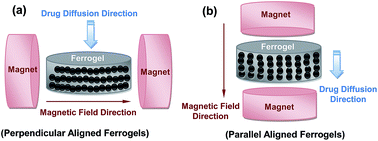 Graphical abstract: Influence of magnetic nanoparticle arrangement in ferrogels for tunable biomolecule diffusion