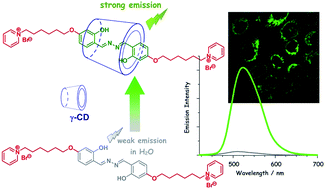 Graphical abstract: Significant emission enhancement of a bola-amphiphile with salicylaldehyde azine moiety induced by the formation of [2]pseudorotaxane with γ-cyclodextrin