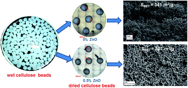 Graphical abstract: The effect of zinc oxide (ZnO) addition on the physical and morphological properties of cellulose aerogel beads