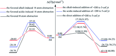 Graphical abstract: Effects of an acid–alkaline environment on the reactivity of 5-carboxycytosine with hydroxyl radicals