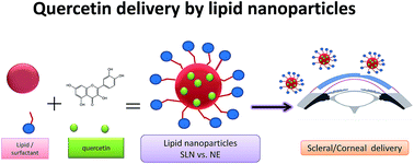 Graphical abstract: Quercetin delivery to porcine cornea and sclera by solid lipid nanoparticles and nanoemulsion