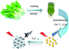 Graphical abstract: Green and economical synthesis of nitrogen-doped carbon dots from vegetables for sensing and imaging applications