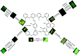Graphical abstract: Stimuli responsive reversible high contrast off–on fluorescence switching of simple aryl-ether amine based aggregation-induced enhanced emission materials