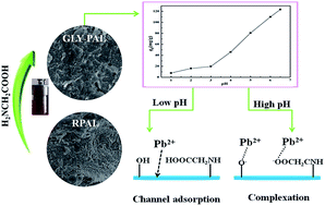 Graphical abstract: Glycine-assisted evolution of palygorskite via a one-step hydrothermal process to give an efficient adsorbent for capturing Pb(ii) ions