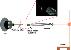 Graphical abstract: Tissue paper assisted spray ionization mass spectrometry