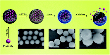 Graphical abstract: Preparation and characterization of enzyme-responsive emamectin benzoate microcapsules based on a copolymer matrix of silica–epichlorohydrin–carboxymethylcellulose