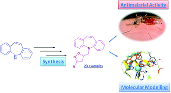 Graphical abstract: Synthesis, antimalarial activity, and target binding of dibenzazepine-tethered isoxazolines