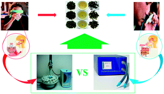 Graphical abstract: The classification and prediction of green teas by electrochemical response data extraction and fusion approaches based on the combination of e-nose and e-tongue