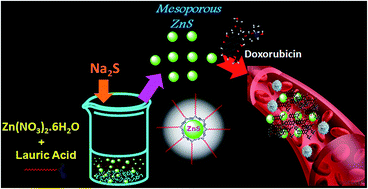 Graphical abstract: Self-assembled ZnS nanospheres with nanoscale porosity as an efficient carrier for the delivery of doxorubicin