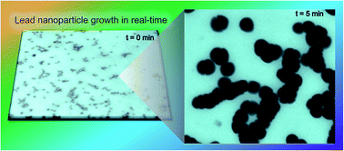 Graphical abstract: Real-time imaging of lead nanoparticles in solution – determination of the growth mechanism