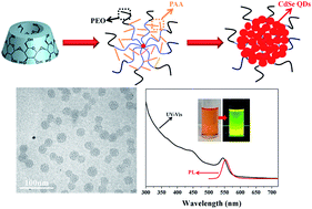 Graphical abstract: Water-soluble star-shaped brush-like block copolymers: synthesis and application as multicompartment nanoreactors for fabrication of quantum dot colloidal nanocrystal clusters