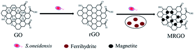 Graphical abstract: Microbial preparation of magnetite/reduced graphene oxide nanocomposites for the removal of organic dyes from aqueous solutions