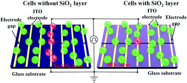 Graphical abstract: Dielectric passivation layer as a substratum on localized single-cell electroporation