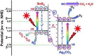 Graphical abstract: Fabrication and characterization of Ag2CO3/SnS2 composites with enhanced visible-light photocatalytic activity for the degradation of organic pollutants