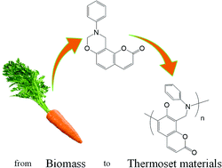 Graphical abstract: Smart chemical design incorporating umbelliferone as natural renewable resource toward the preparation of thermally stable thermosets materials based on benzoxazine chemistry