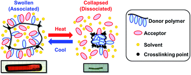 Graphical abstract: Gel thermoresponsiveness driven by switching of the charge-transfer interaction