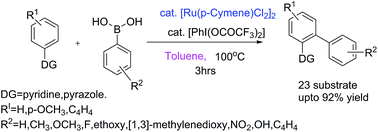 Graphical abstract: PhI(OCOCF3)2-mediated ruthenium catalyzed highly site-selective direct ortho-C–H monoarylation of 2-phenylpyridine and 1-phenyl-1H-pyrazole and their derivatives by arylboronic acids