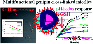 Graphical abstract: Genipin cross-linked PEG-block-poly(l-lysine)/disulfide-based polymer complex micelles as fluorescent probes and pH-/redox-responsive drug vehicles