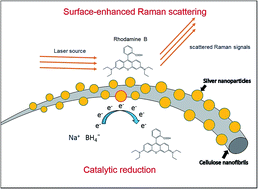 Graphical abstract: A porous aerogel nanocomposite of silver nanoparticles-functionalized cellulose nanofibrils for SERS detection and catalytic degradation of rhodamine B