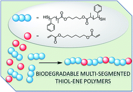 Graphical abstract: Synthesis of degradable multi-segmented polymers via Michael-addition thiol–ene step-growth polymerization