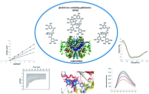Graphical abstract: Structure activity related, mechanistic, and modeling studies of gallotannins containing a glucitol-core and α-glucosidase