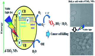 Graphical abstract: Hydrothermal synthesis of defective TiO2 nanoparticles for long-wavelength visible light-photocatalytic killing of cancer cells