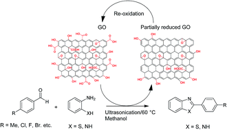 Graphical abstract: Role of graphene oxide as a heterogeneous acid catalyst and benign oxidant for synthesis of benzimidazoles and benzothiazoles