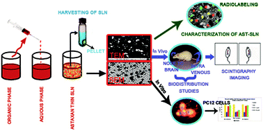 Graphical abstract: Nose to brain delivery of astaxanthin-loaded solid lipid nanoparticles: fabrication, radio labeling, optimization and biological studies