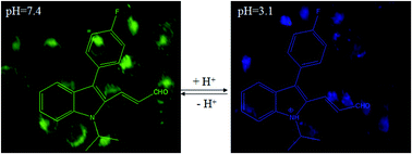 Graphical abstract: Indole-based pH probe with ratiometric fluorescence behavior for intracellular imaging