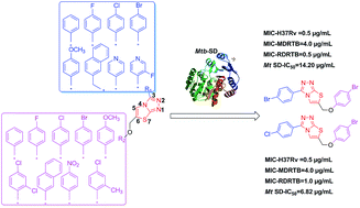 Graphical abstract: SAR studies on 1,2,4-triazolo[3,4-b][1,3,4]thiadiazoles as inhibitors of Mtb shikimate dehydrogenase for the development of novel antitubercular agents