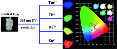 Graphical abstract: Tunable white-light emission via energy transfer in single-phase LiGd(WO4)2:Re3+ (Re = Tm, Tb, Dy, Eu) phosphors for UV-excited WLEDs