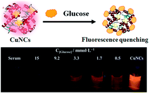 Graphical abstract: A fluorescent biosensor of lysozyme-stabilized copper nanoclusters for the selective detection of glucose