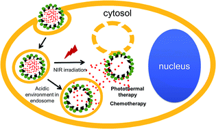 Graphical abstract: Mesoporous carbon/CuS nanocomposites for pH-dependent drug delivery and near-infrared chemo-photothermal therapy