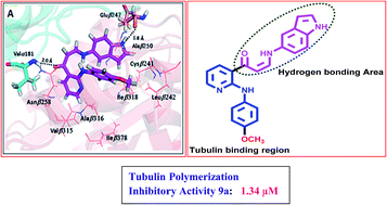 Graphical abstract: Synthesis of 2-anilinopyridine–arylpropenone conjugates as tubulin inhibitors and apoptotic inducers