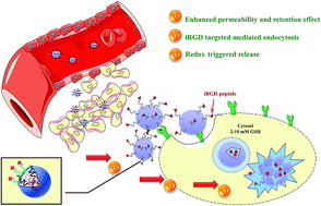 Graphical abstract: iRGD-mediated reduction-responsive DSPE–PEG/LA–PLGA–TPGS mixed micelles used in the targeted delivery and triggered release of docetaxel in cancer