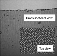 Graphical abstract: Single-process fabrication of antireflective acrylic hard coating via surface segregation of porous silica nanoparticles