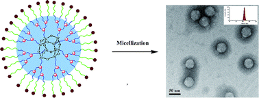 Graphical abstract: Synthesis and unimolecular micelles of amphiphilic copolymer with dendritic poly(l-lactide) core and poly(ethylene oxide) shell for drug delivery
