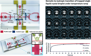 Graphical abstract: Integrated microfluidic platform for instantaneous flow and localized temperature control