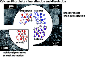 Graphical abstract: Poly(ethylene oxide)-based block copolymers with very high molecular weights for biomimetic calcium phosphate mineralization