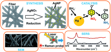 Graphical abstract: In situ and facile synthesis of silver nanoparticles on baby wipes and their applications in catalysis and SERS