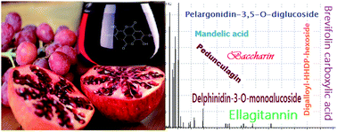 Graphical abstract: Total phenolic content, antioxidant capacity and phytochemical profiling of grape and pomegranate wines