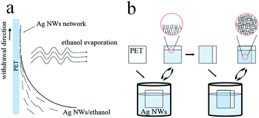Graphical abstract: Order-enhanced silver nanowire networks fabricated by two-step dip-coating as polymer solar cell electrodes