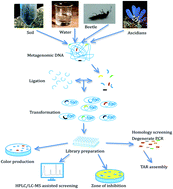 Graphical abstract: Biomedical potential of natural products derived through metagenomic approaches
