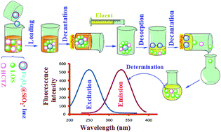 Graphical abstract: Determination of losartan potassium in the presence of hydrochlorothiazide via a combination of magnetic solid phase extraction and fluorometry techniques in urine samples