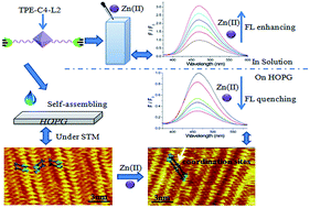Graphical abstract: A protocol of self-assembled monolayers of fluorescent block molecules for trace Zn(ii) sensing: structures and mechanisms